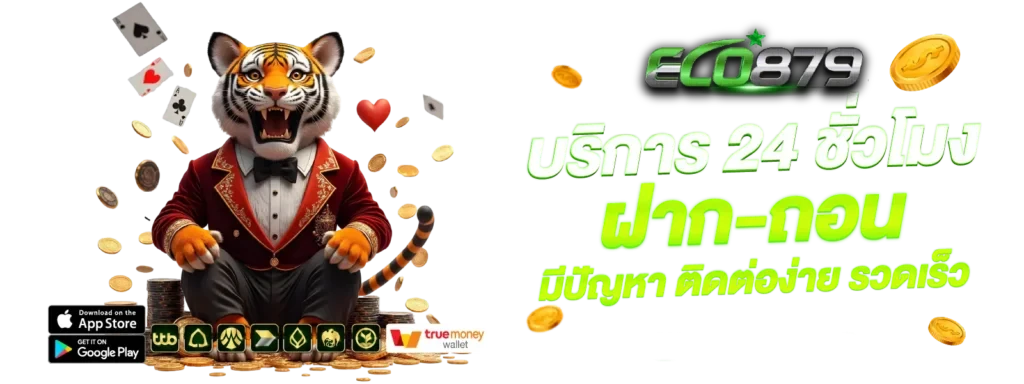 บริการ-24-ชั่วโมง by eco879